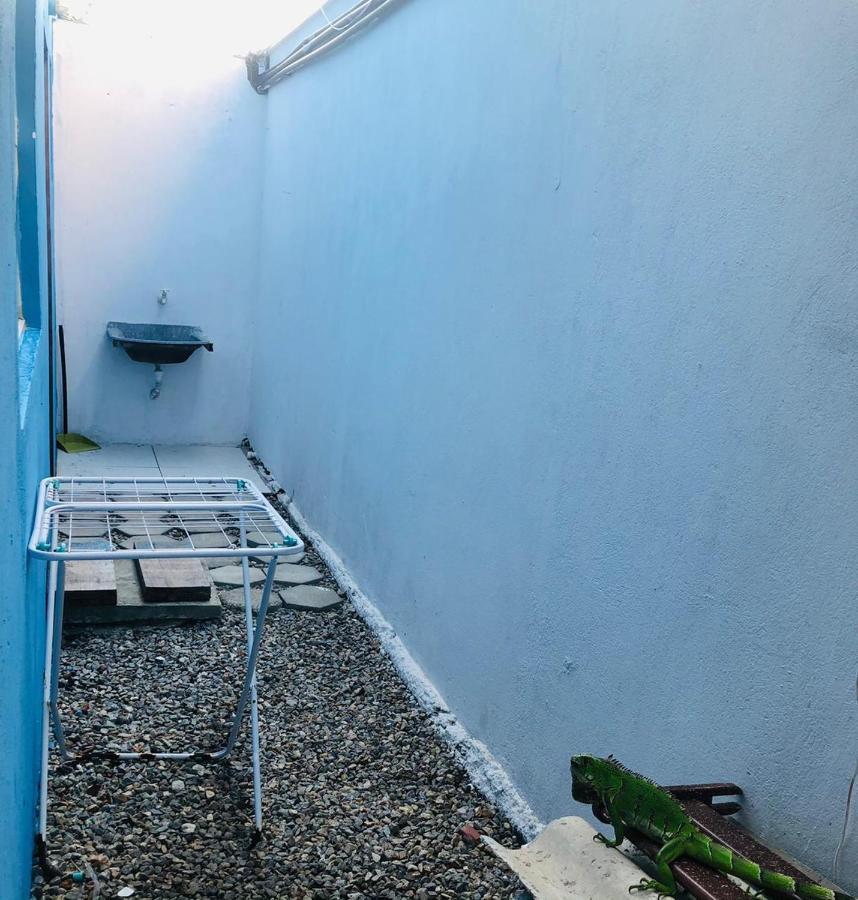 Ferienwohnung Apartamento Blue Horse Pipa Praia de Pipa Exterior foto